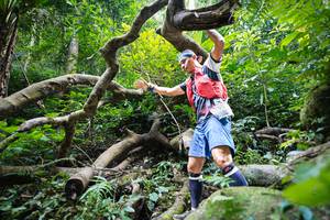 BIB: 
                            <button type="button" onclick="openModal(19407743)" class="btn btn-primary btn-sm float-right btn-popup" data-toggle="modal" data-target=".modal-high-quality">
                        <i class="fas fa-shopping-cart"></i> Add to Cart
                    </button>
                                            <button type="button" onclick="isThisMe(19407743, true)" class="btn btn-success btn-sm float-right btn-popup btn-isme hidden" data-toggle="tooltip" data-placement="bottom" title="นี่คือรูปของคุณใช่ไหม คลิกที่นี่เพื่อเอาเข้าอัลบั้ม">
                        <i class="fas fa-plus"></i> Add to album
                    </button>
                    <button type="button" onclick="isThisMe(19407743, false)" class="btn btn-warning btn-sm float-right btn-popup btn-isnotme hidden">
                        <i class="fas fa-ban"></i> Remove from album
                    </button>